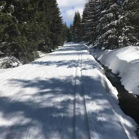 Sweet Cieplice Mountain View By The Main Park And Thermal Pools * يلينيا غورا