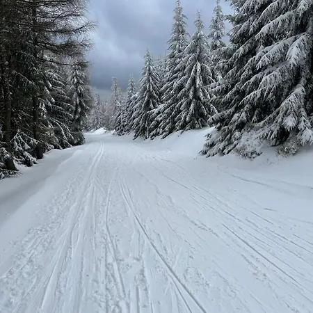 Sweet Cieplice Mountain View By The Main Park And Thermal Pools