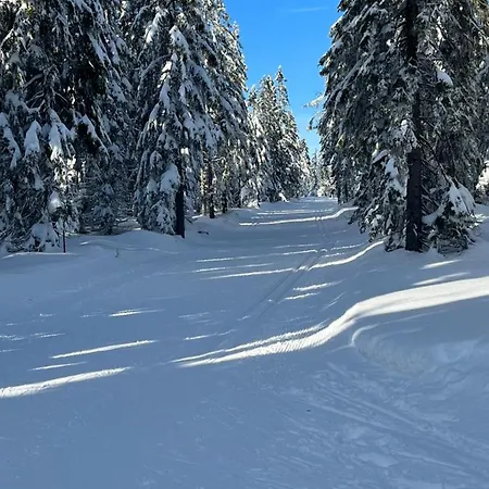 Sweet Cieplice Mountain View By The Main Park And Thermal Pools يلينيا غورا