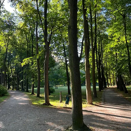 Sweet Cieplice Mountain View By The Main Park And Thermal Pools شقة يلينيا غورا