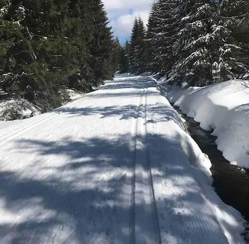 Sweet Cieplice Mountain View By The Main Park And Thermal Pools * Jelení Hora