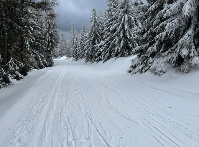 Sweet Cieplice Mountain View By The Main Park And Thermal Pools