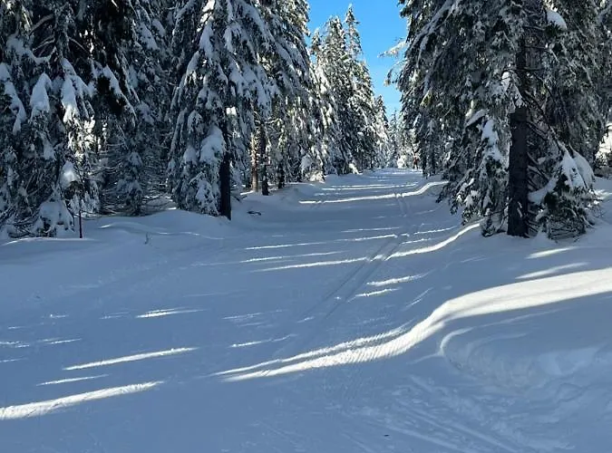 Sweet Cieplice Mountain View By The Main Park And Thermal Pools Jelenia Góra